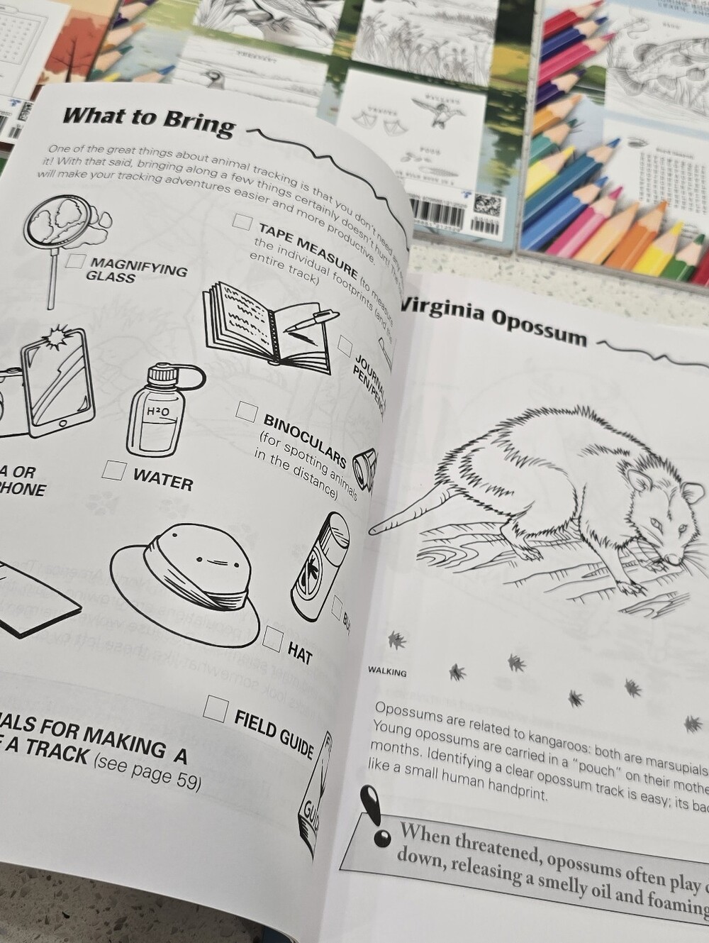 Hunt & Learn Coloring Book Collection - Picture 4 of 8